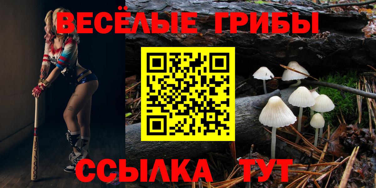 Псилоцибиновые грибы GOLDEN TEACHER  Вход с VPN  Лесной 