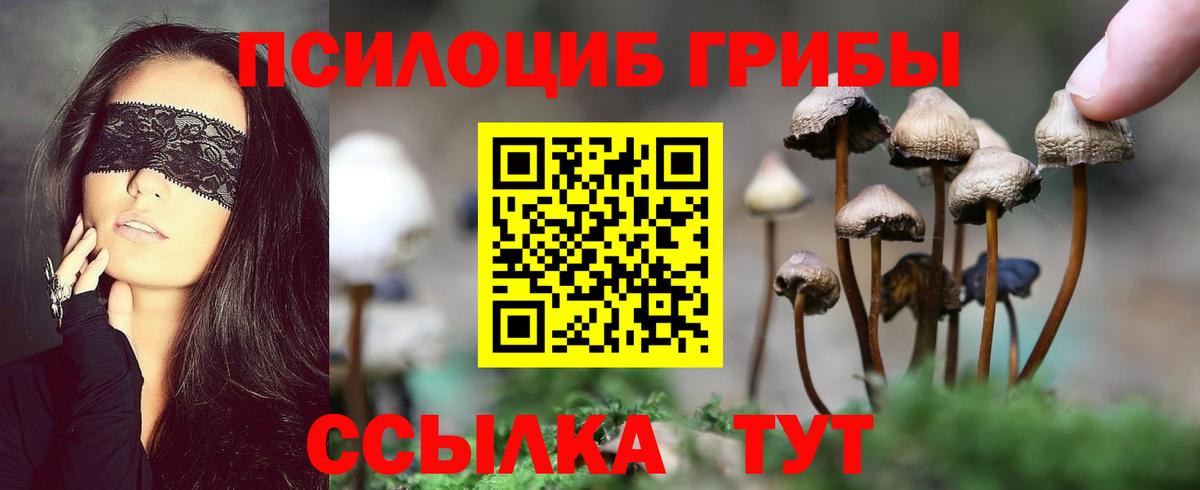 ГАШ Лесной